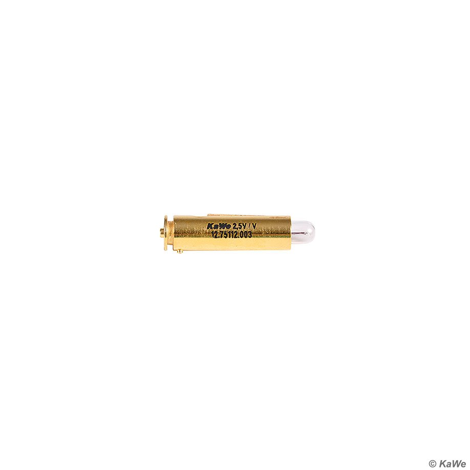 Vakuum-Lampen 2,5 V, für Ophthalmoskop E30, Dermatoskop, PICCOLIGHT (6 Stck.)