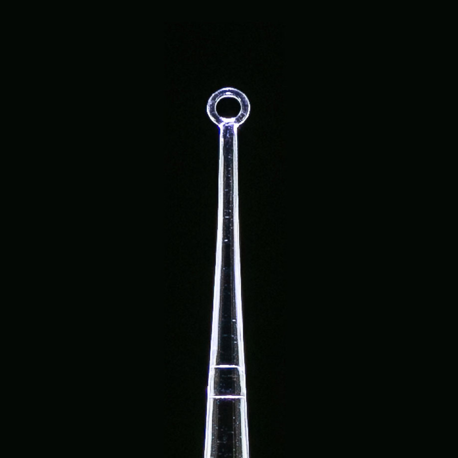 ClearLook LED Ohrküretten AngleLoop, 4 mm Durchmesser, gebogen (50 Stck.)